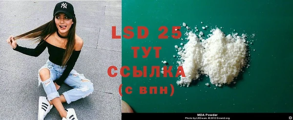 шишки Няндома