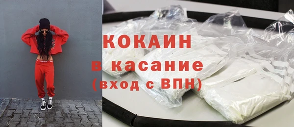 шишки Няндома