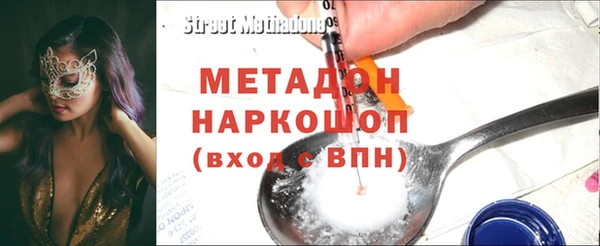 шишки Няндома