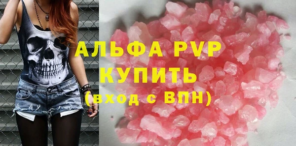 шишки Няндома
