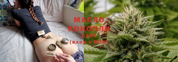 шишки Няндома