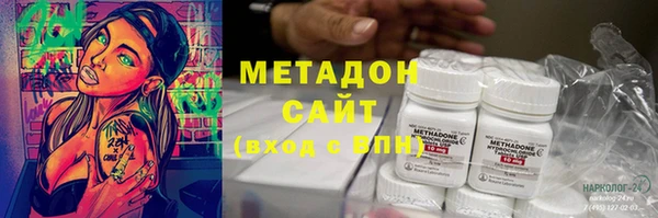 шишки Няндома